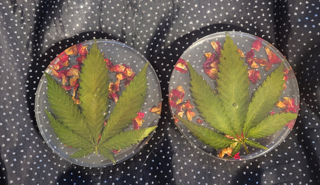 Buds and Roses Canna Leaf Coasters