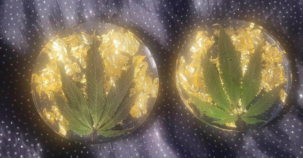 Gold Leaf Canna Leaf Coasters